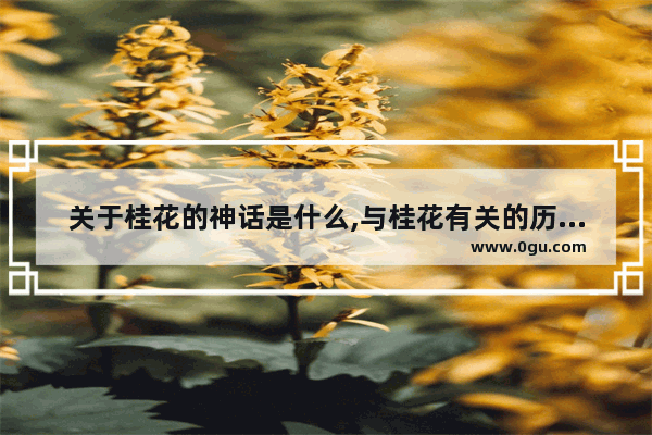 关于桂花的神话是什么,与桂花有关的历史故事