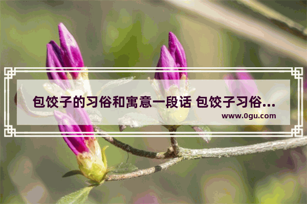 包饺子的习俗和寓意一段话 包饺子习俗讲解