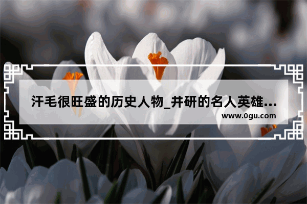 汗毛很旺盛的历史人物_井研的名人英雄故事