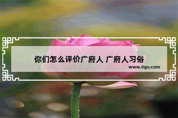 你们怎么评价广府人 广府人习俗