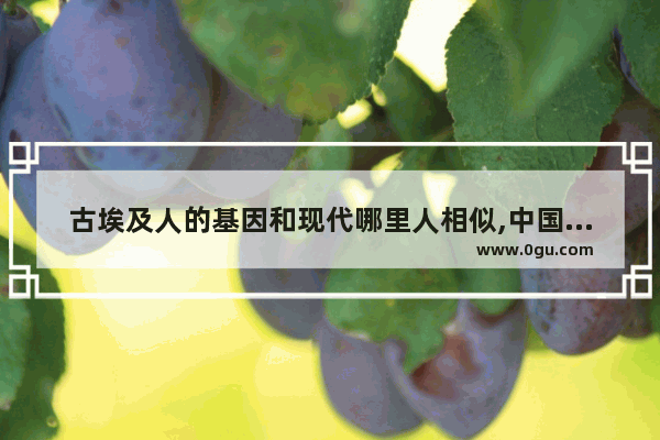 古埃及人的基因和现代哪里人相似,中国历史和古埃及很像