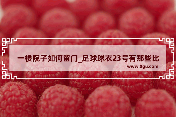 一楼院子如何留门_足球球衣23号有那些比较出名的人