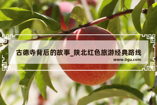 古德寺背后的故事_陕北红色旅游经典路线