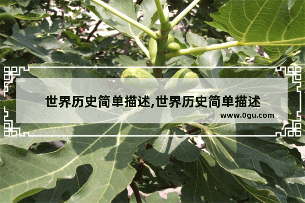 世界历史简单描述,世界历史简单描述