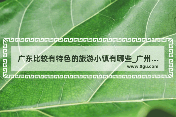 广东比较有特色的旅游小镇有哪些_广州情侣旅游好去处