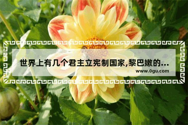 世界上有几个君主立宪制国家,黎巴嫩的习俗礼仪
