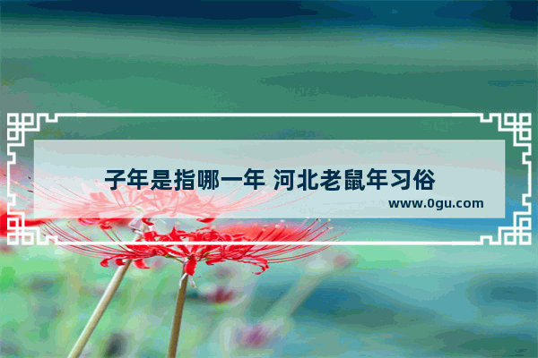 子年是指哪一年 河北老鼠年习俗