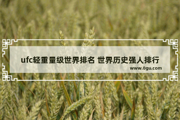 ufc轻重量级世界排名 世界历史强人排行