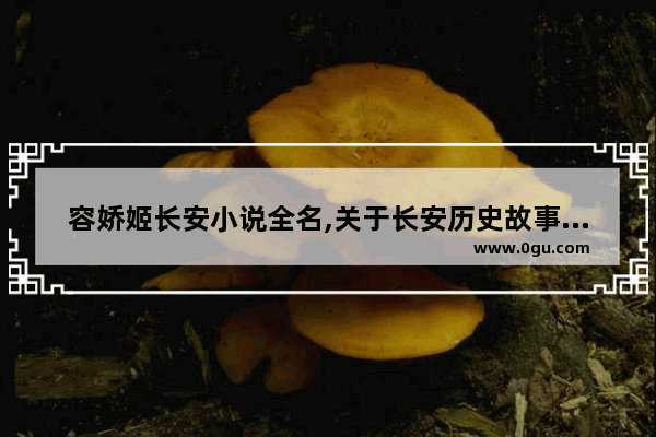容娇姬长安小说全名,关于长安历史故事的书