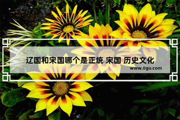 辽国和宋国哪个是正统 宋国 历史文化