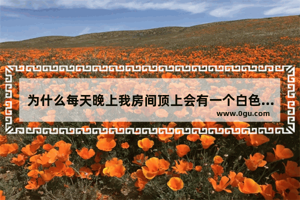 为什么每天晚上我房间顶上会有一个白色发光的圆 圆灯家乡习俗