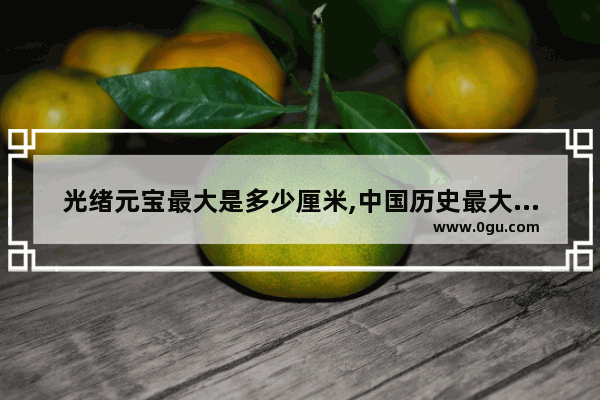 光绪元宝最大是多少厘米,中国历史最大尺寸银币价格