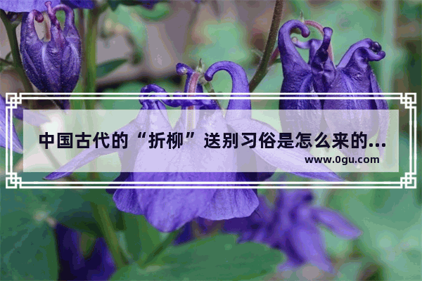 中国古代的“折柳”送别习俗是怎么来的 陕西折柳习俗
