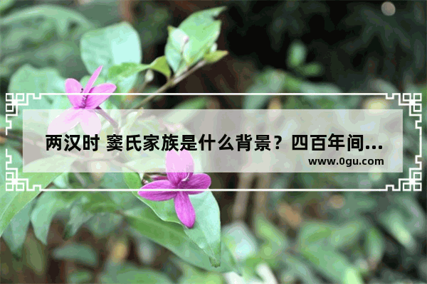 两汉时 窦氏家族是什么背景？四百年间不断出皇后,景县车氏家族历史人物