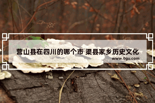 营山县在四川的哪个市 渠县家乡历史文化