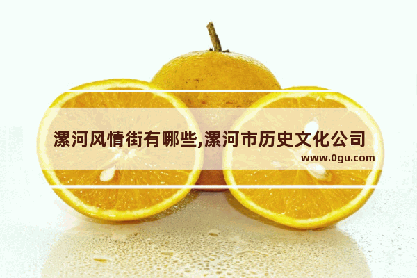 漯河风情街有哪些,漯河市历史文化公司
