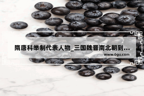 隋唐科举制代表人物_三国魏晋南北朝到隋朝时间轴