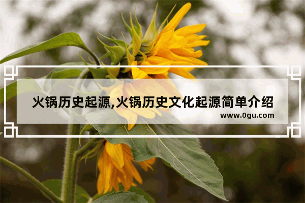 火锅历史起源,火锅历史文化起源简单介绍
