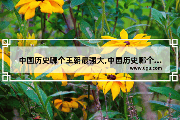中国历史哪个王朝最强大,中国历史哪个王朝最强大