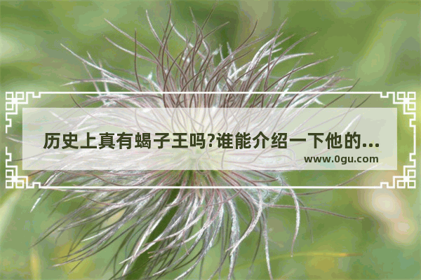 历史上真有蝎子王吗?谁能介绍一下他的故事,王陵的历史故事简介