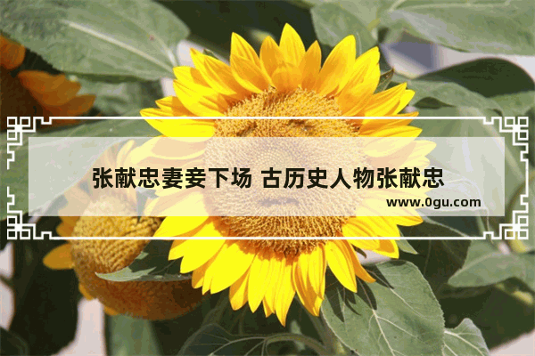 张献忠妻妾下场 古历史人物张献忠