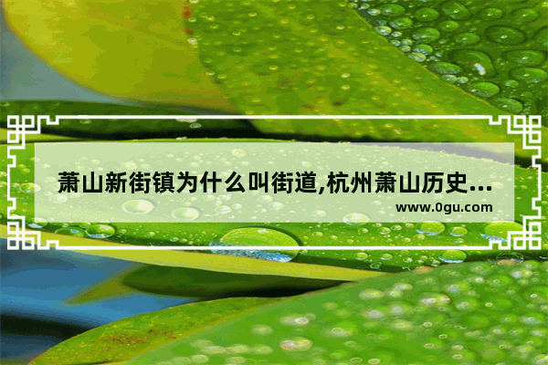 萧山新街镇为什么叫街道,杭州萧山历史文化街区