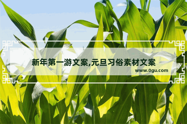 新年第一游文案,元旦习俗素材文案