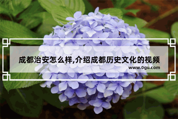 成都治安怎么样,介绍成都历史文化的视频