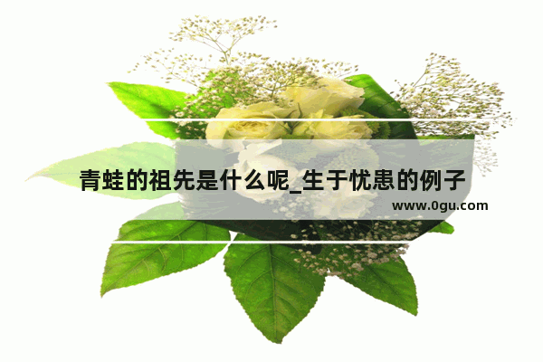 青蛙的祖先是什么呢_生于忧患的例子