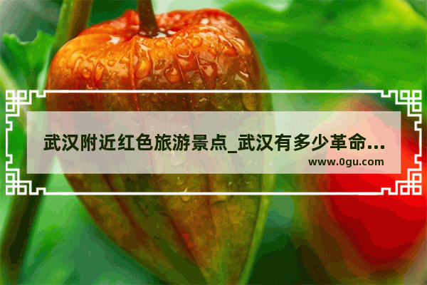 武汉附近红色旅游景点_武汉有多少革命英雄纪念馆