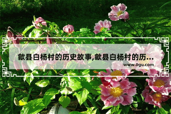 歙县白杨村的历史故事,歙县白杨村的历史故事