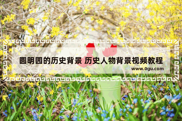 圆明园的历史背景 历史人物背景视频教程