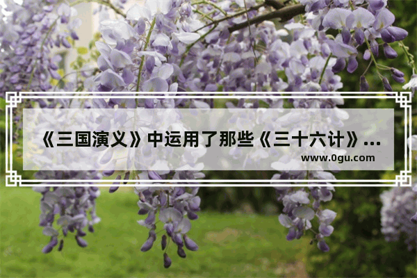 《三国演义》中运用了那些《三十六计》中的的计策 历史智谋故事