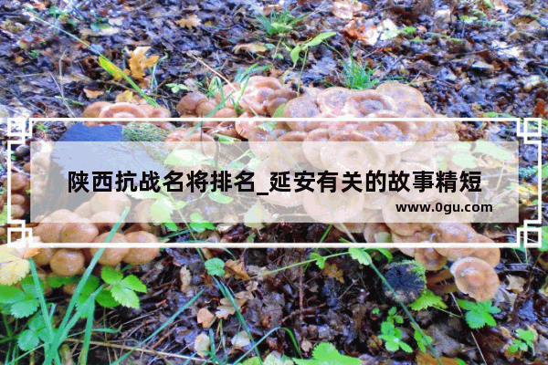陕西抗战名将排名_延安有关的故事精短