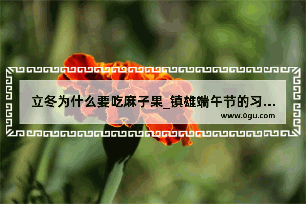 立冬为什么要吃麻子果_镇雄端午节的习俗有哪些
