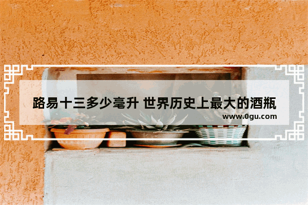路易十三多少毫升 世界历史上最大的酒瓶