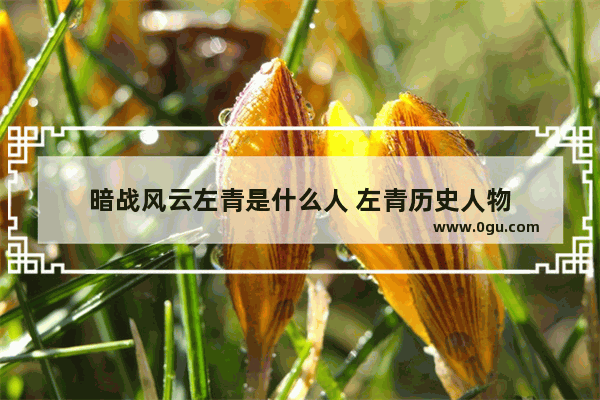 暗战风云左青是什么人 左青历史人物