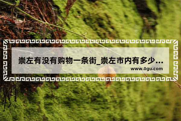 崇左有没有购物一条街_崇左市内有多少个菜市场