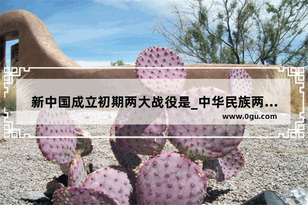 新中国成立初期两大战役是_中华民族两大历史主题
