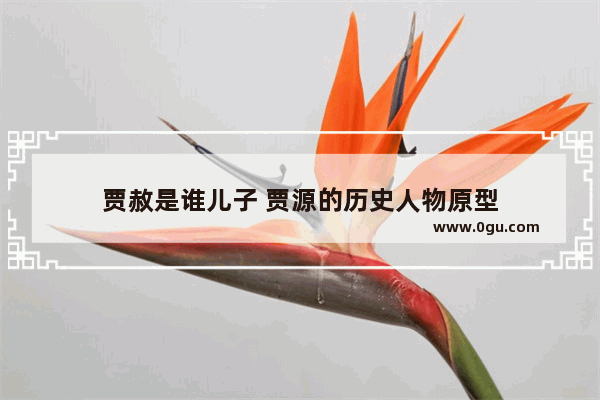 贾赦是谁儿子 贾源的历史人物原型