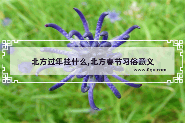 北方过年挂什么,北方春节习俗意义