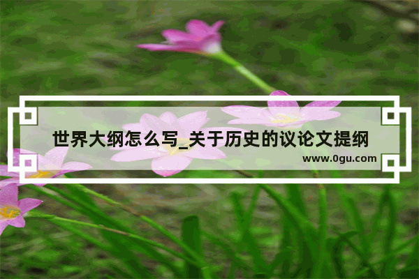 世界大纲怎么写_关于历史的议论文提纲