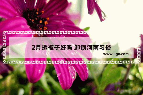 2月拆被子好吗 卸锁河南习俗