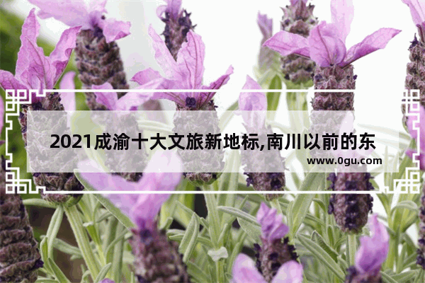 2021成渝十大文旅新地标,南川以前的东街历史文化
