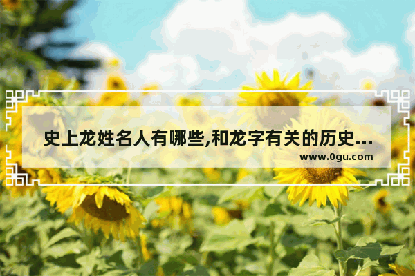 史上龙姓名人有哪些,和龙字有关的历史人物