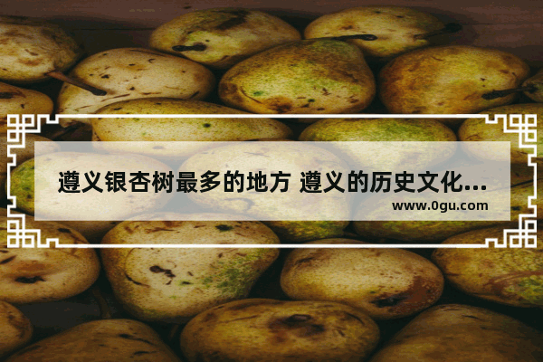 遵义银杏树最多的地方 遵义的历史文化名村