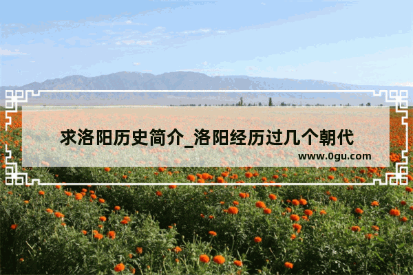 求洛阳历史简介_洛阳经历过几个朝代