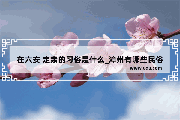 在六安 定亲的习俗是什么_漳州有哪些民俗