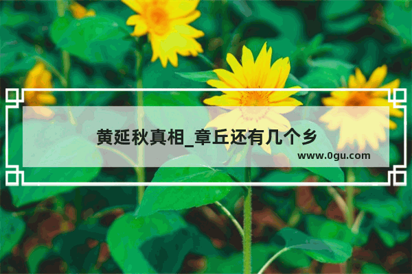 黄延秋真相_章丘还有几个乡