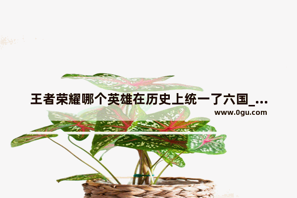 王者荣耀哪个英雄在历史上统一了六国_赵怀真与云缨是历史人物吗